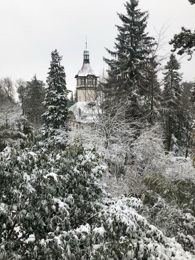 Villa Eden Mulhouse Dış mekan fotoğraf